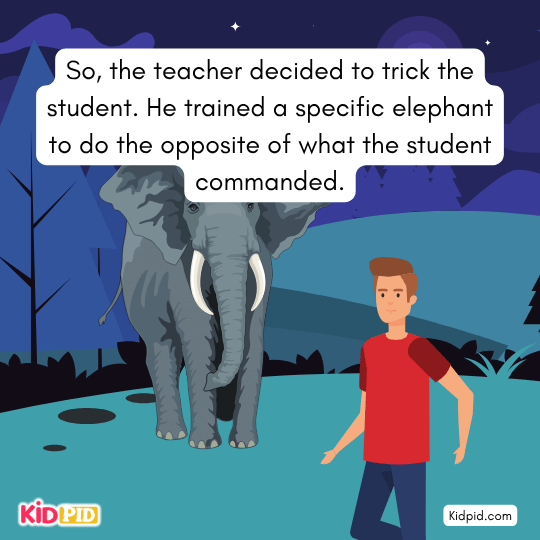 The teacher planned a trick and trained an elephant oppositely - Elephant story for kids