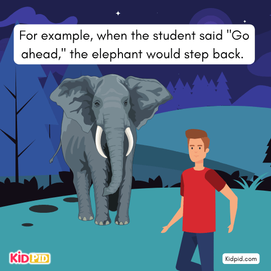 The teacher tricked him by training an elephant to disobey - short story for kids