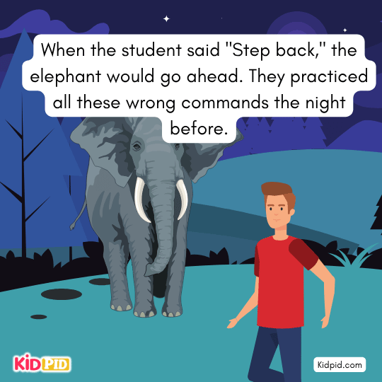The elephant did opposite commands they practiced the night before - moral Story for kids
