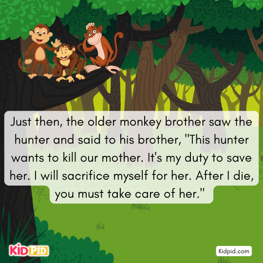 The elder monkey vowed to die saving their blind mother.- Faithful Monkeys story