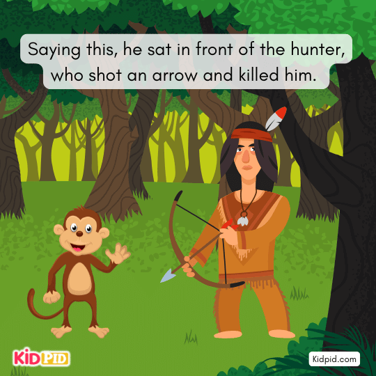He sat before the hunter, who shot and killed him- Monkey story for kids