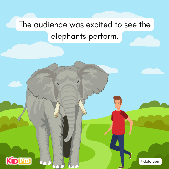 The audience was excited to see the elephants perform - exciting story for kids 