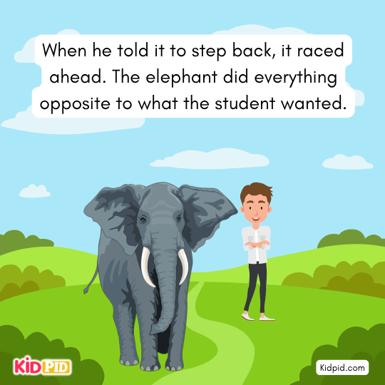 When told step back, elephant ran forward doing everything opposite - Moral story 