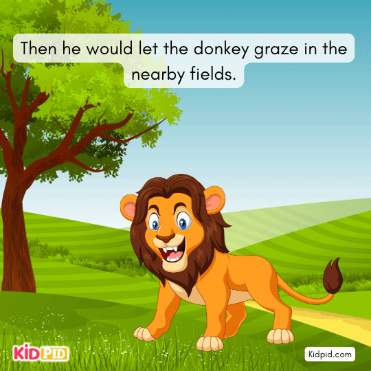 donkey graze in the nearby fields- book story