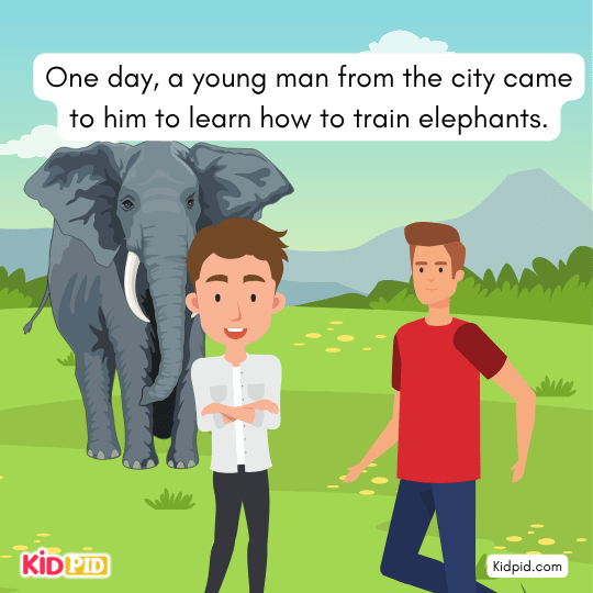 A man from the city came to him to learn how to train elephants - Fictional story 
