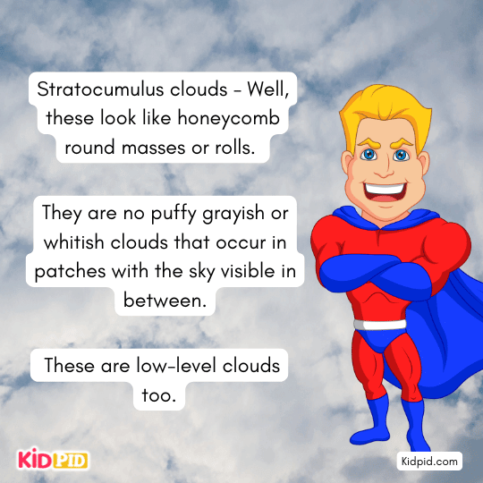 Stratocumulus clouds - Well, these look like honeycomb round masses - Read-aloud book 