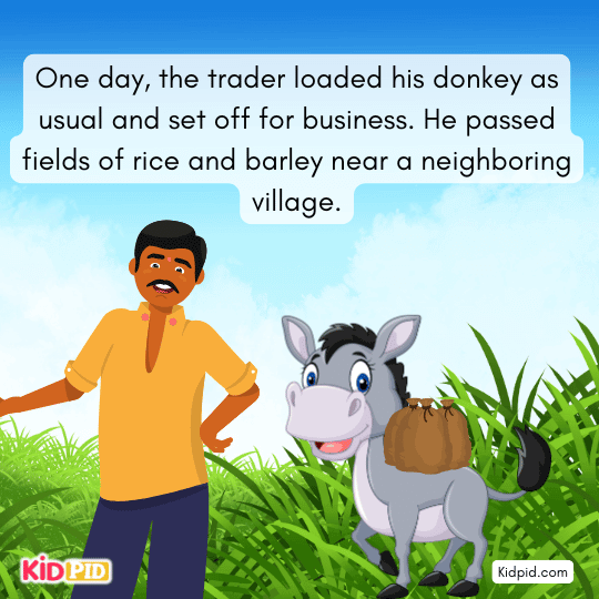 The trader traveled past rice and barley fields with Donkey- book story