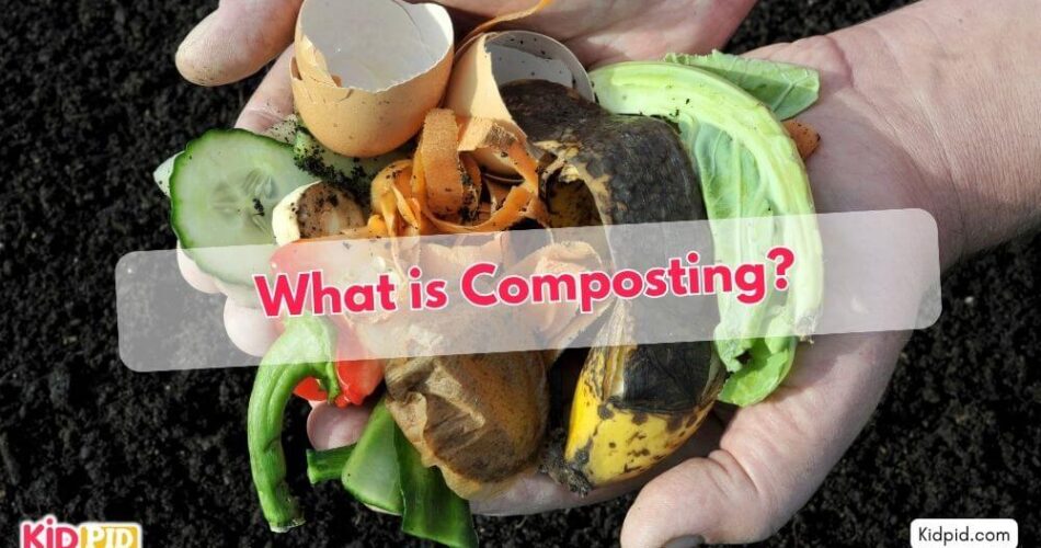 What is Composting?