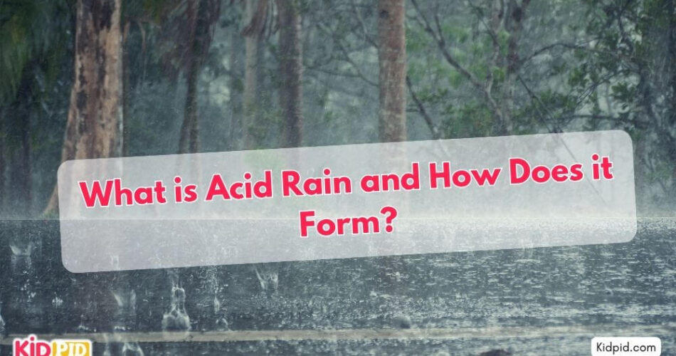 What is Acid Rain and How Does it Form?