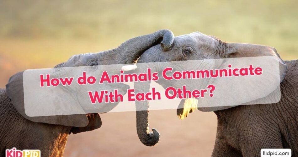 How do Animals Communicate With Each Other?