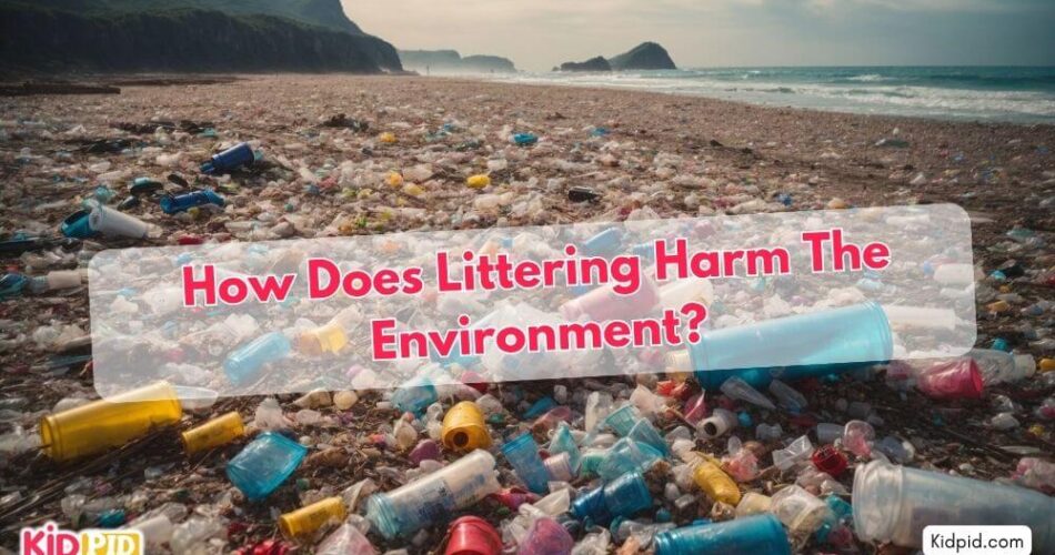 How Does Littering Harm The Environment?