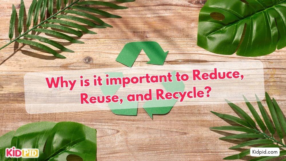 Why is it Important To Reduce, Reuse, and Recycle? [Quiz Inside] - Kidpid