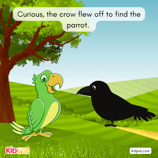 Curious, the crow flew off to find the parrot.