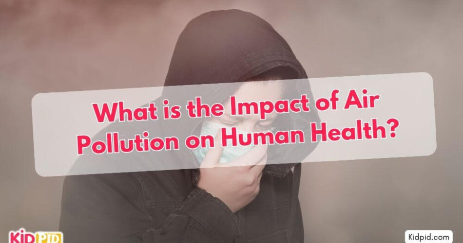 What is The Impact of Air Pollution on Human Health?