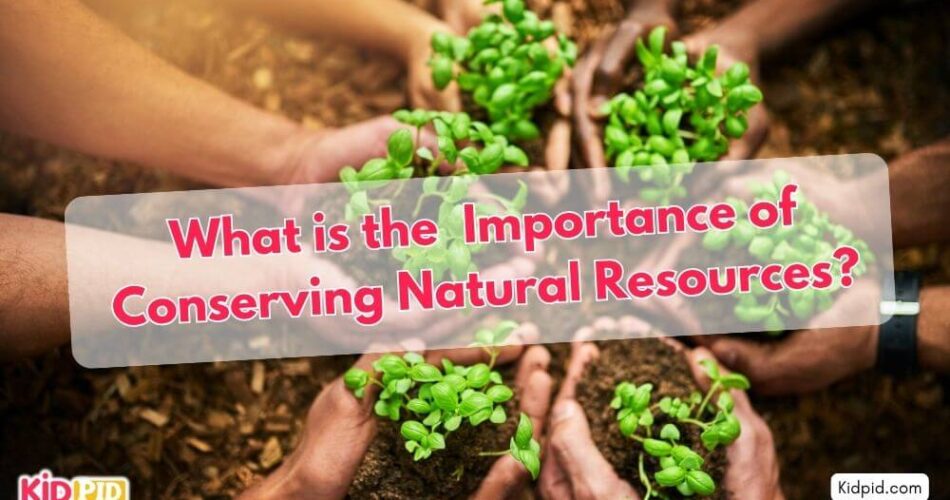 What is the Importance of Conserving Natural Resources?