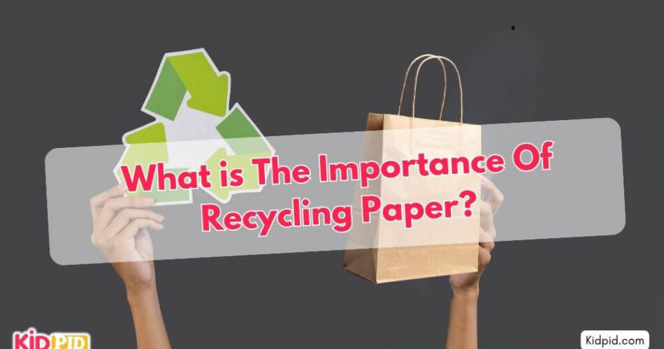 What is the Importance of Recycling Paper?