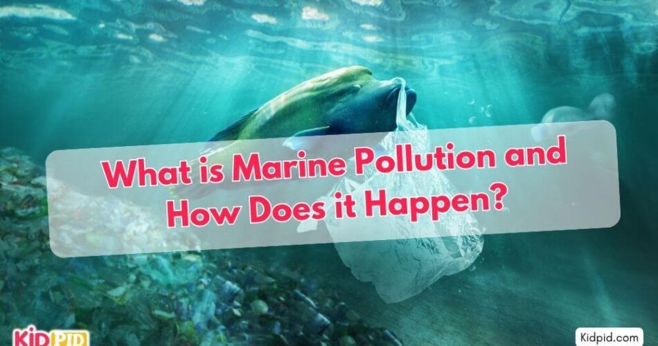 What is Marine Pollution and How Does it Happen?