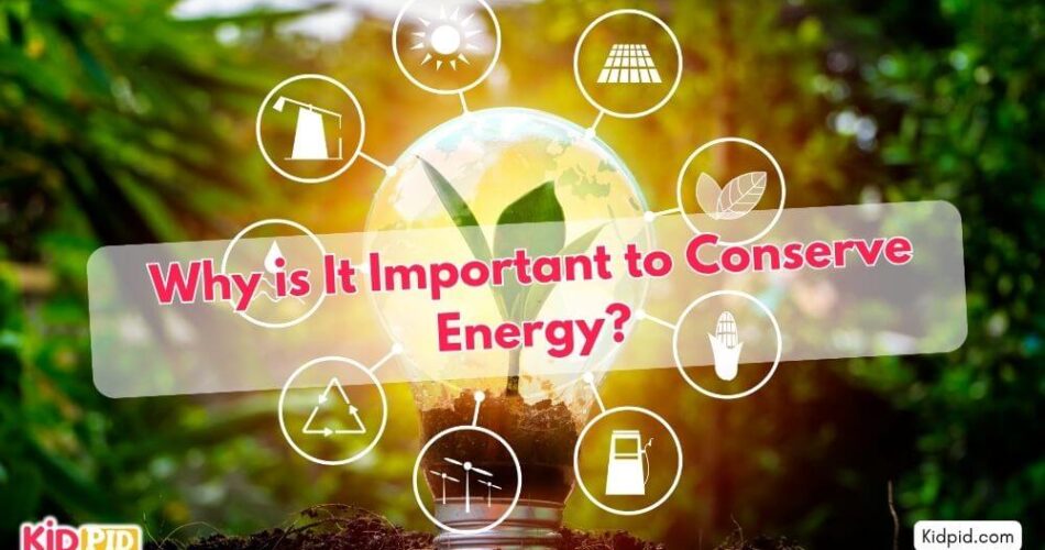 Why is it Important to Conserve Energy?