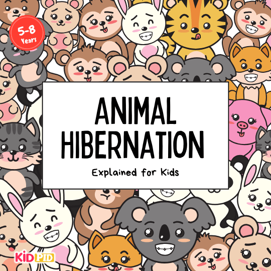Animal Hibernation Explained for Kids