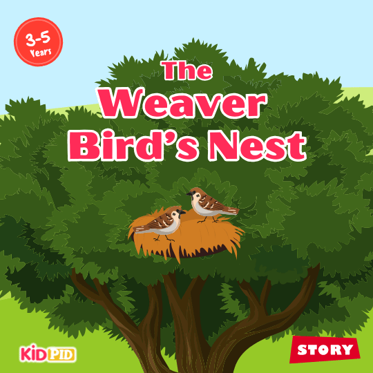 Title page of “The Weaver Bird’s Nest,” a kids’ moral story about advice, wisdom, and consequences.