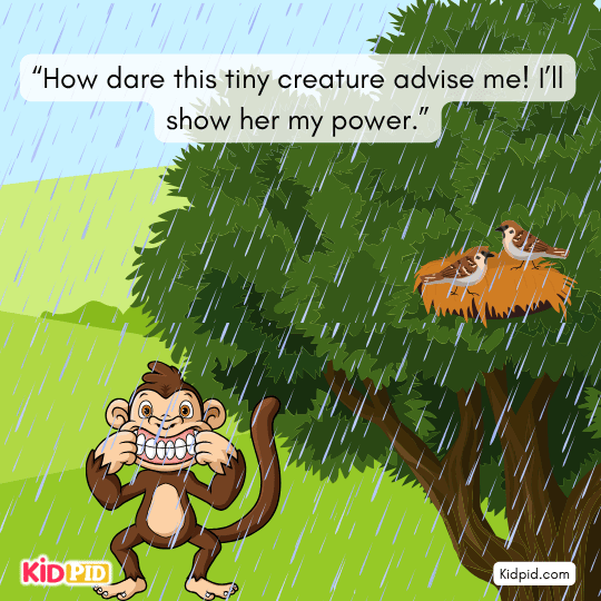 Angry monkey destroys the sparrows’ nest out of rage and wounded pride.