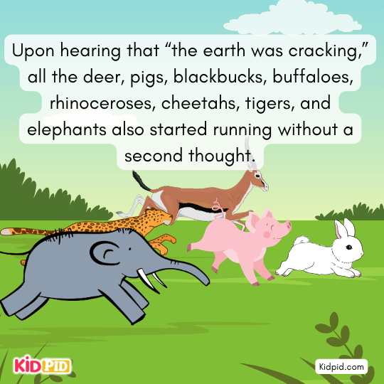 Deer, pigs, buffaloes, rhinos, cheetahs, tigers, elephants all flee blindly.