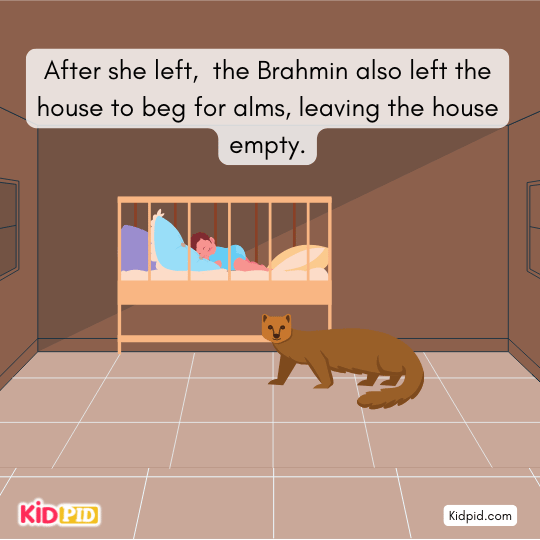 A dangerous black cobra slithers into the house toward the sleeping baby.