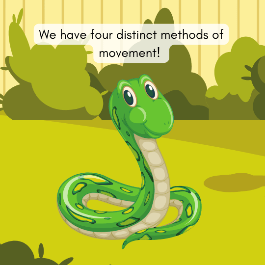 Snakes move efficiently without legs using muscles and scales.