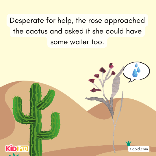 Desperate rose asks the cactus for water, finally seeking help during the dry summer.