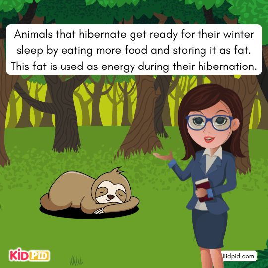 Animals preparing for hibernation by eating and storing fat — early science learning for children.