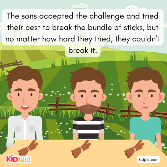 Disappointed sons return to their father and admit they could not break the bundle.