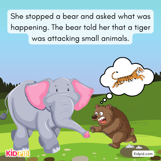 Elephant stops a bear to ask why animals are running; bear warns about a tiger.