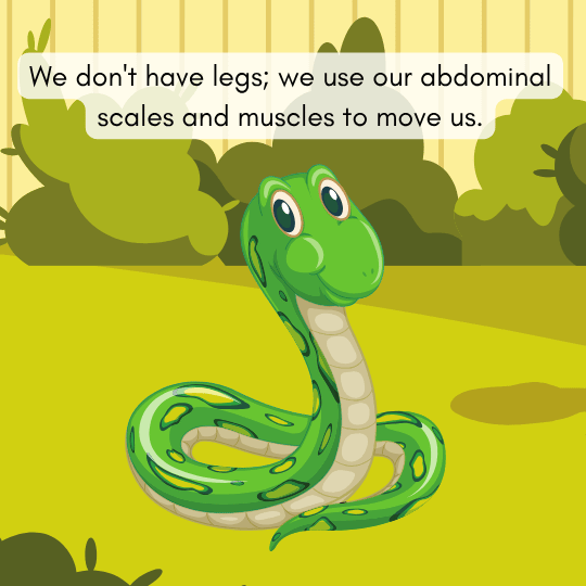 Snake shows four distinct methods of movement in nature.