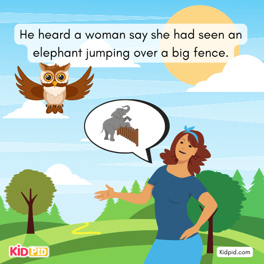 Owl listens to a woman claiming she saw an elephant jump over a big fence, showing exaggerations people tell.