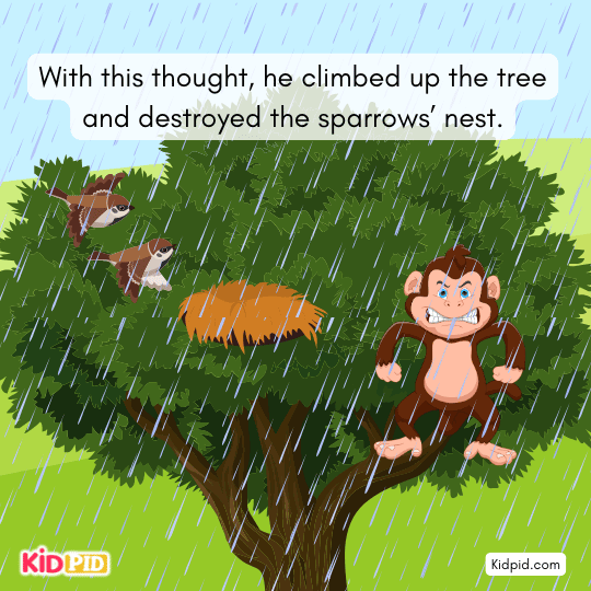 Sparrows lose their home due to the monkey’s anger and refusal to listen.