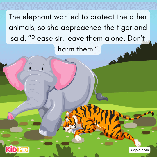 Elephant bravely approaches the tiger and asks him to stop harming small animals.