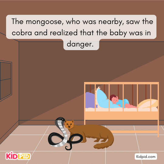Mongoose attacks the cobra fiercely to protect the sleeping baby.