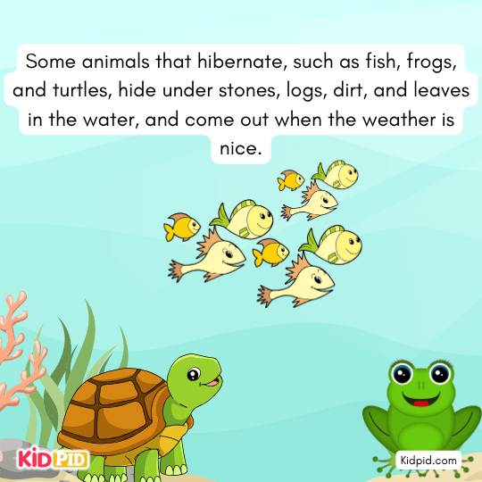 Frogs, fish, and turtles hiding under rocks and leaves underwater — winter hibernation science for kids.