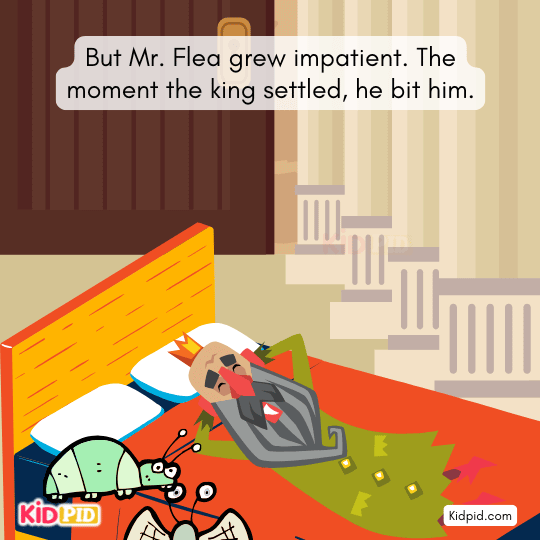 King orders his servants to inspect the royal bed for the biting insect.