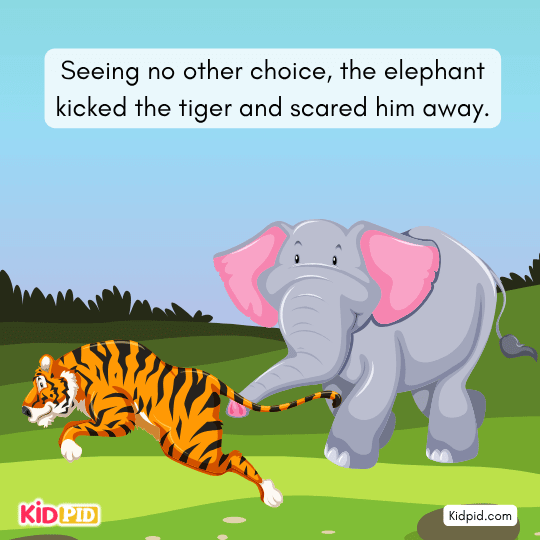 Brave elephant kicks the tiger and scares him away to protect other animals.