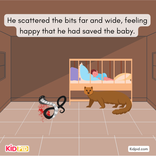 Happy mongoose waits to greet Brahmini, unaware of the misunderstanding.