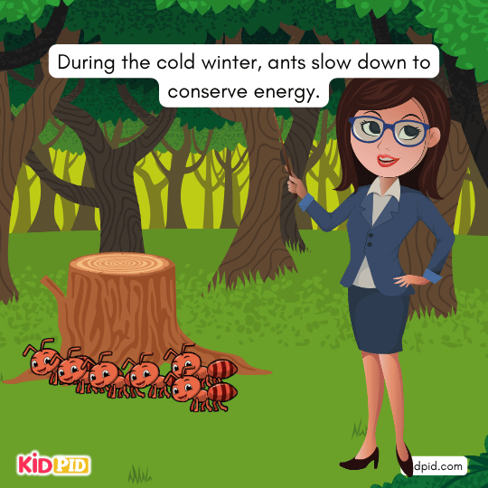 Ants slowing down in winter to save energy — insect behavior during cold weather for young learners.