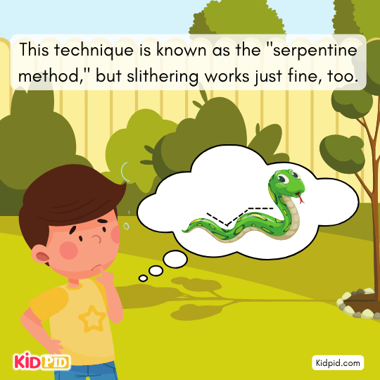 Serpentine method shown as snake moves in wave-like motion.