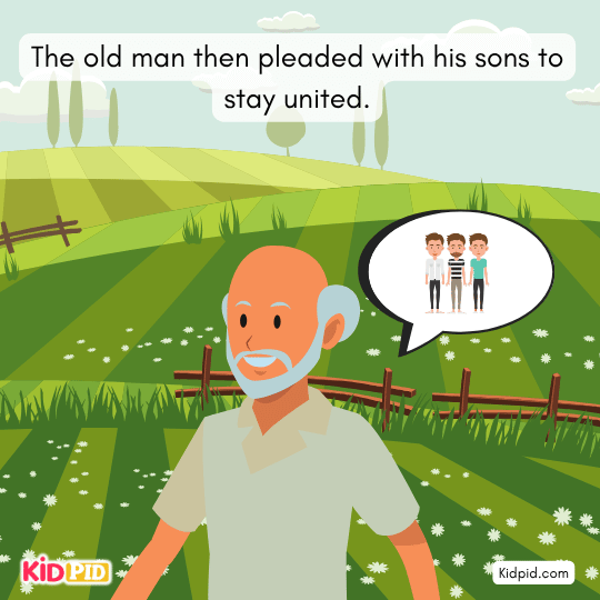 The three sons finally understand the power of unity and teamwork.