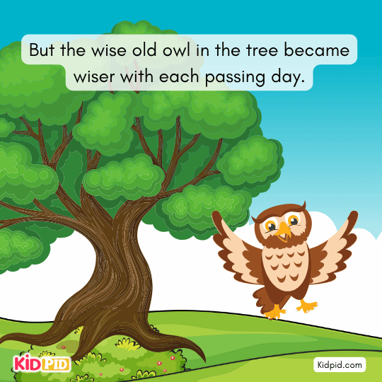 The old owl grows wiser each day by observing life from his oak tree.