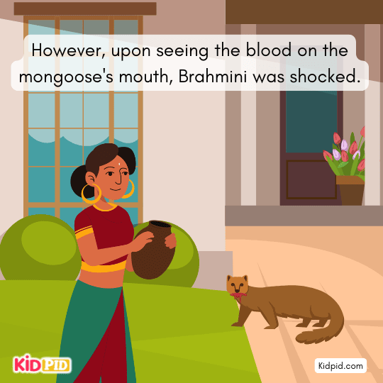 In anger, she drops her water pot on the mongoose, killing him instantly.