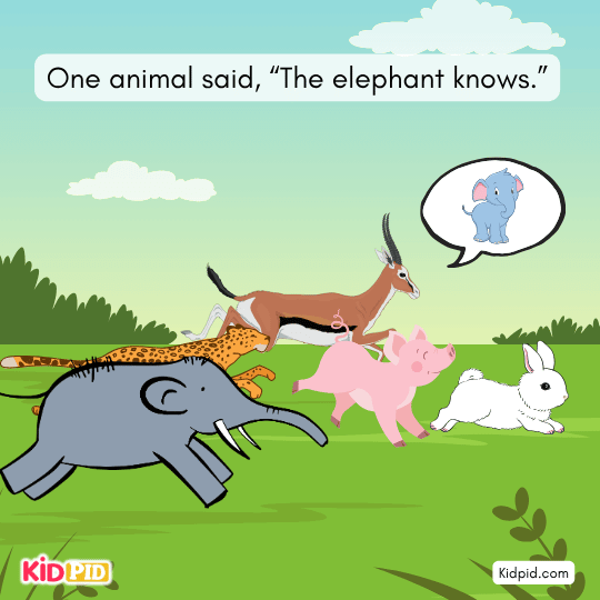 Elephant says tiger knows; tiger says cheetah knows the truth.