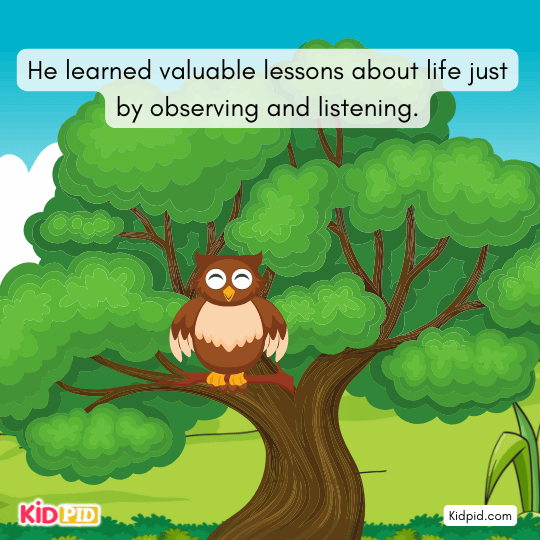 The owl learns deep lessons about life through silence, listening, and careful observation.