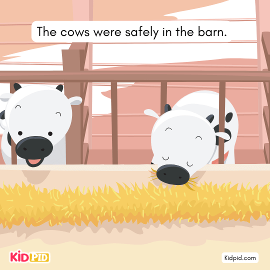 Farmer finds haystacks covered with tarpaulins illustration image