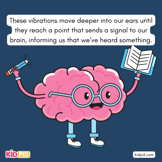 Vibrations reaching brain as sound signals – auditory pathway and brain response for children’s science.